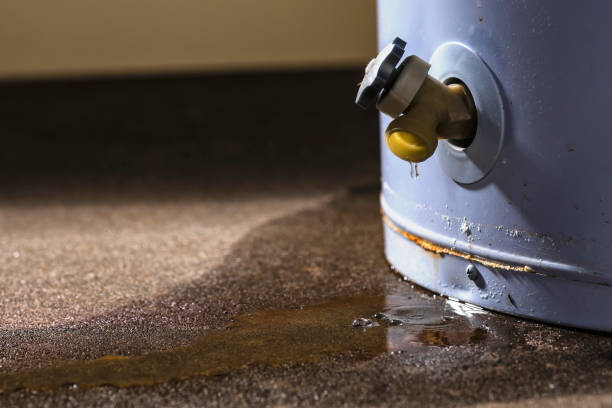 Best Professional water damage repair  in Griggsvle, IL