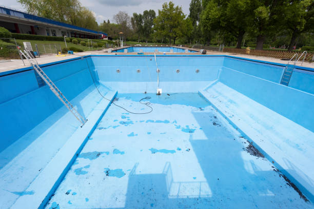 Best Mold removal after water damage  in Griggsvle, IL