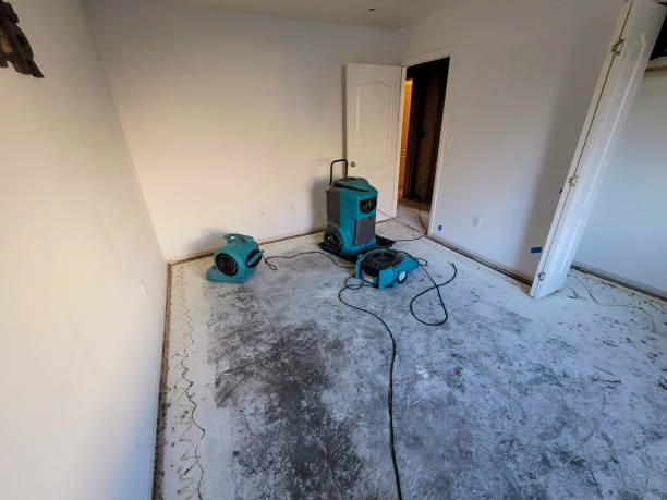 Best Flood restoration services  in Griggsvle, IL
