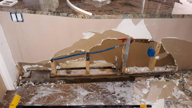 Best Residential water damage restoration  in Griggsvle, IL