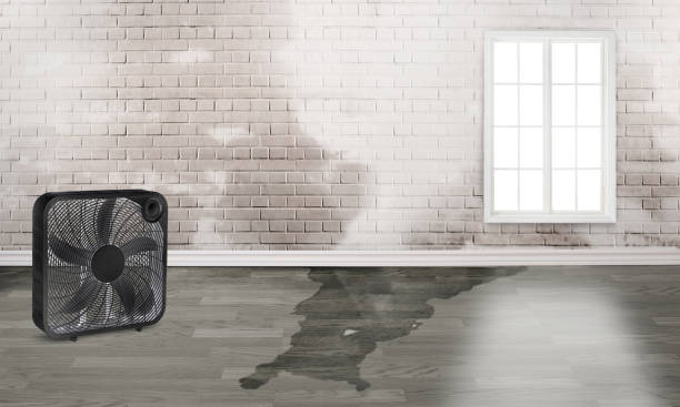 Water damage restoration insurance claims in Griggsville, IL