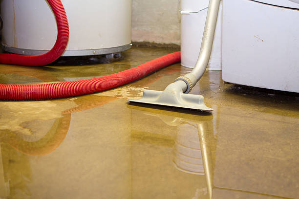 Professional Water damage restoration in Griggsville, IL