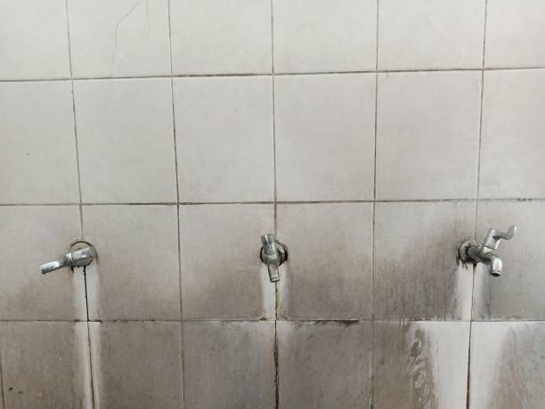 Best Carpet water damage restoration  in Griggsvle, IL