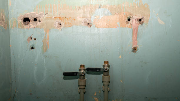 Best Water damage restoration near me  in Griggsvle, IL