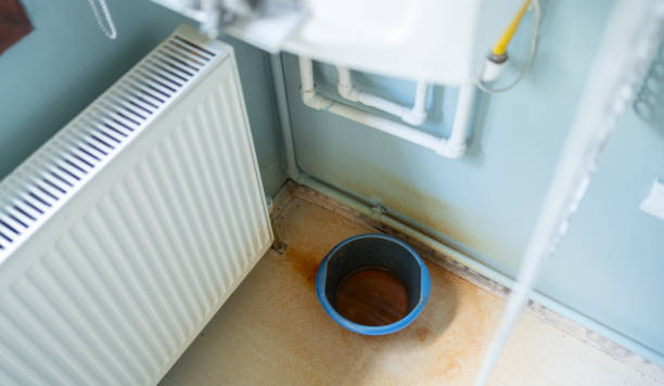 Best Sewage cleanup and water damage restoration  in Griggsvle, IL