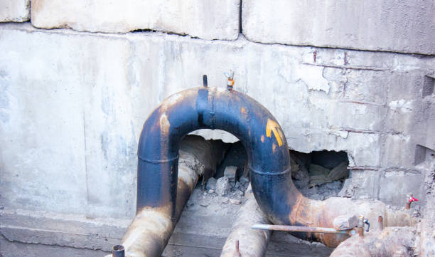 Best Commercial water damage restoration  in Griggsvle, IL