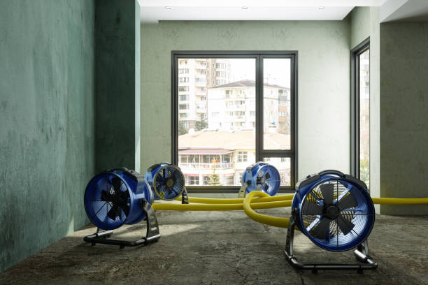 Best Water damage restoration insurance claims  in Griggsvle, IL