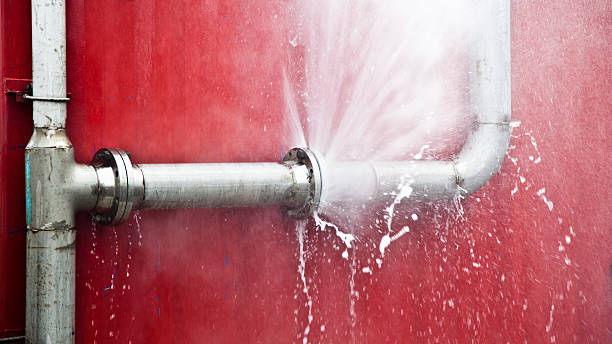 Best Local water damage restoration  in Griggsvle, IL